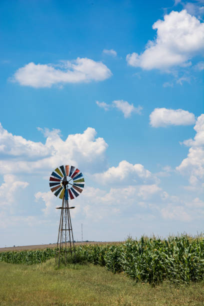istock Wind pump on Freestate farm in South Africa with corn fields 1018098828