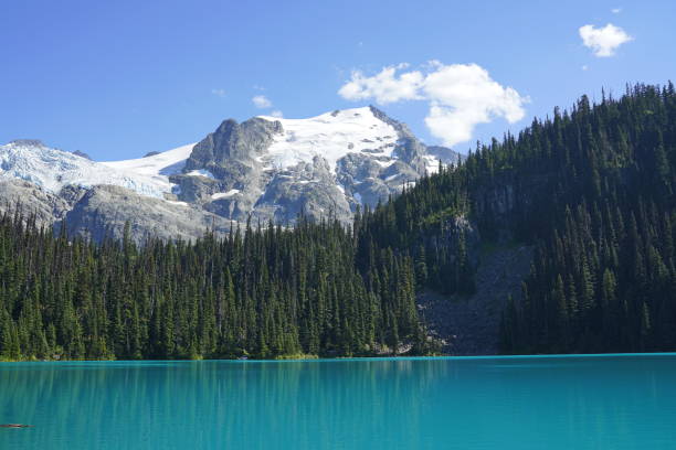 istock Beautiful Middle Joffre Lake 1018099652
