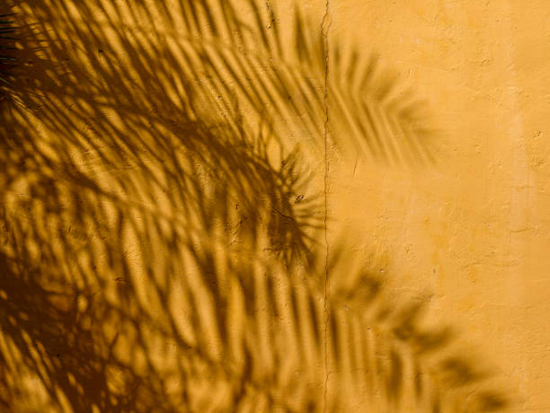 istock abstract background texture of shadows leaf on yellow concrete wall 1018099774