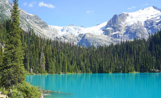 istock Beautiful Middle Joffre Lake 1018102022