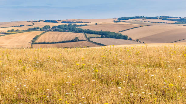 istock Landscape Hampshire, Engeland 1018109502