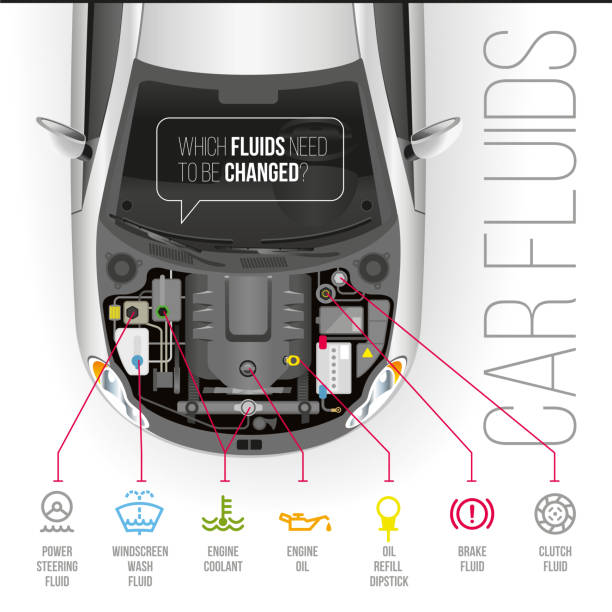 Car Fluids Which fluids need to be changed under the hood of the car? hood stock illustrations