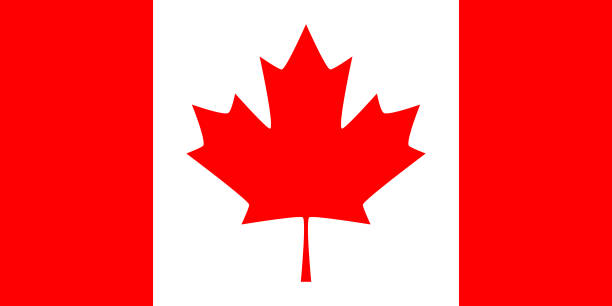 kanada-vektor-flagge - canadian flag stock-grafiken, -clipart, -cartoons und -symbole
