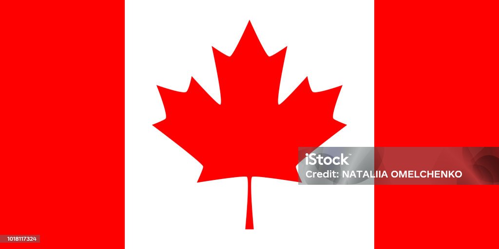Canada vector flag Canadian Flag stock vector