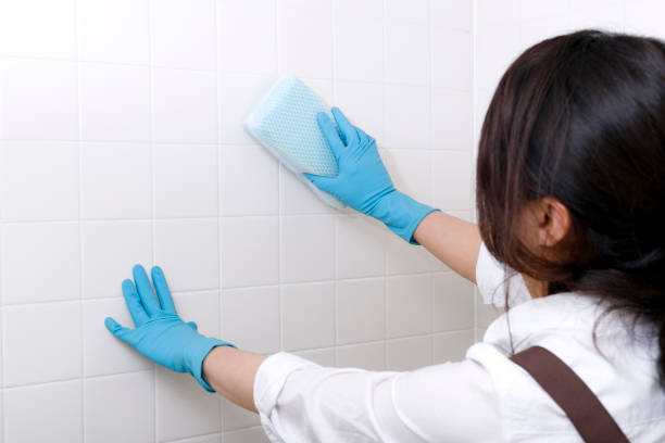 donna giapponese che pulisce un bagno - bathtub asian ethnicity women female foto e immagini stock