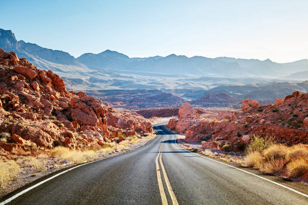istock Scenic desert road at sunset. 1018130612