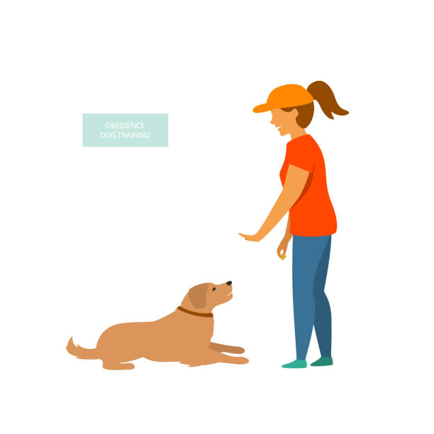Dogs Training Vector 650+ Dog Trainer Training Vector Illustration Stock Illustrations ...
