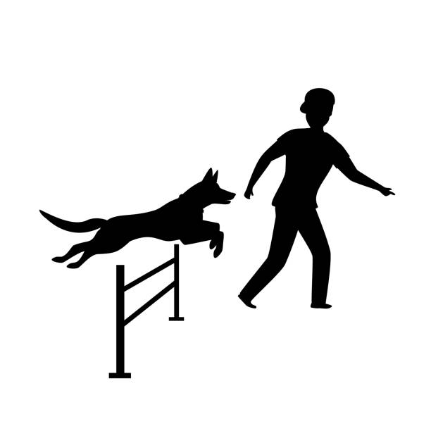 ilustrações, clipart, desenhos animados e ícones de gráfico de silhueta de treinamento de cão agilidade - men jogging running sports training