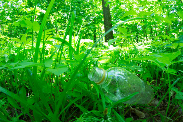 istock Sunny day in summer park 1018137040