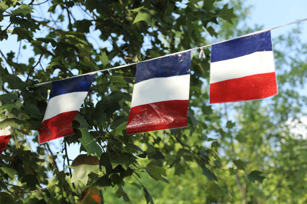 istock little french flag 1018137870