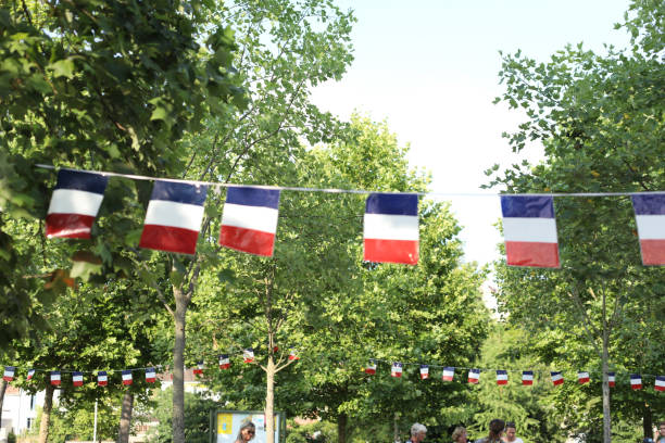 istock little french flag 1018137874