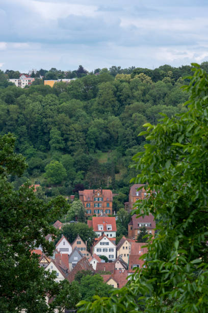 istock German houses hidden in a forest 1018138308