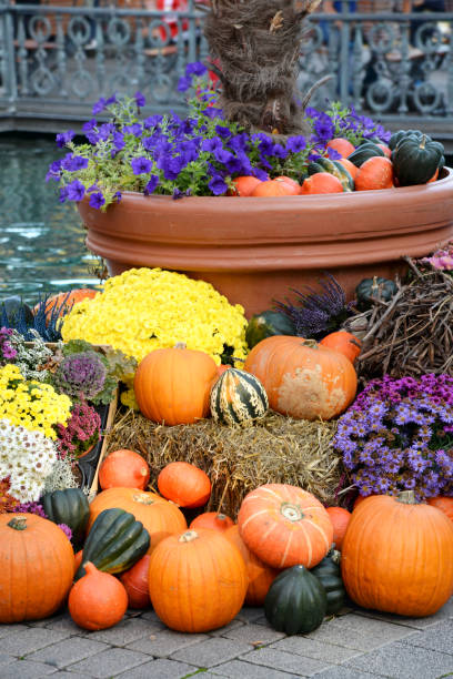 istock Pumpkin decoration on the street, Germany 1018143622
