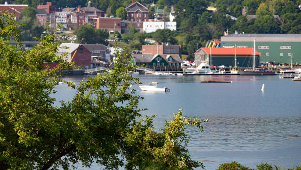 istock Apple tree in foreground with Belfast Maine harbor in the background 1018146564