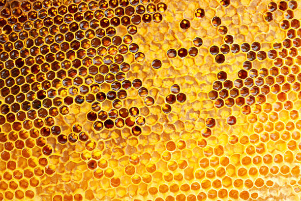 istock Yellow Honeycomb closeup background 1018146792