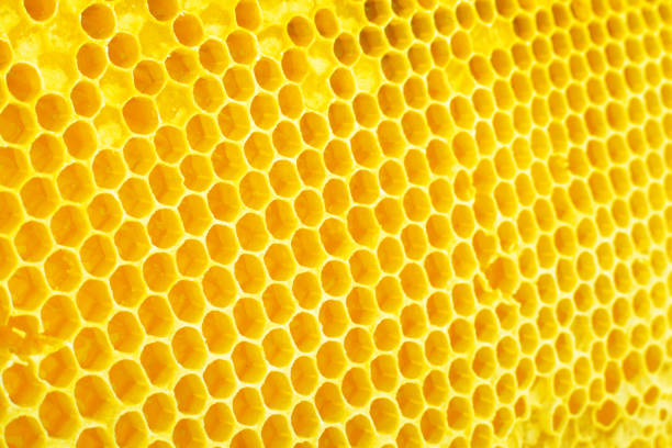 istock Yellow Honeycomb closeup background 1018146804