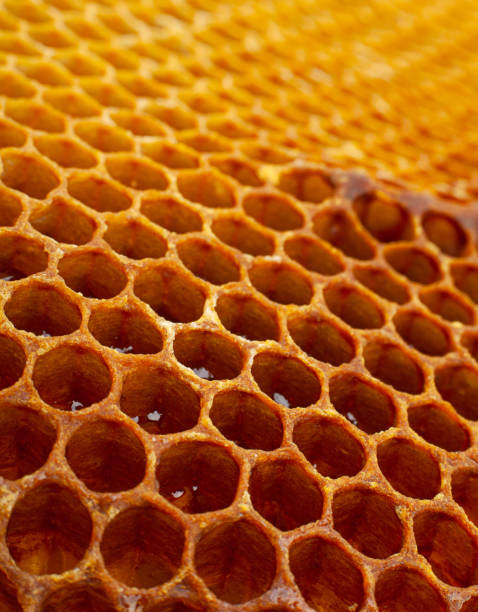 istock Yellow Honeycomb closeup background 1018156094