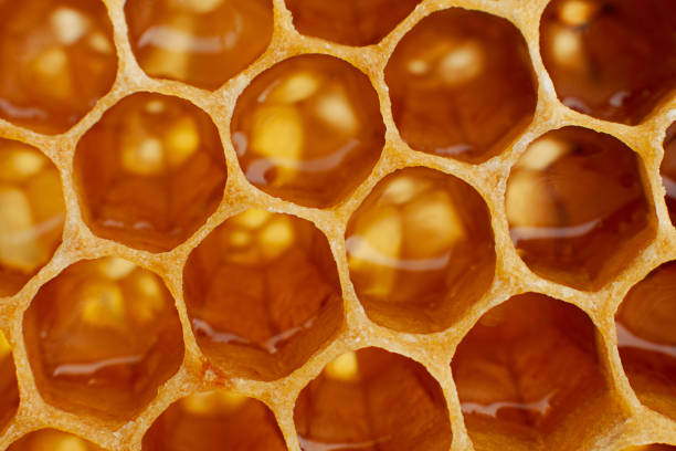 istock Yellow Honeycomb closeup background 1018158602