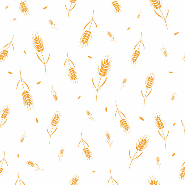 Seamless pattern with whole grain seeds organic, natural background isolated on white background flat style design vector illustration. Wheat, barley or rye ears with straw chaotic version Seamless pattern with whole grain seeds organic, natural background isolated on white background flat style design vector illustration. Wheat, barley or rye ears with straw chaotic version bread backgrounds stock illustrations