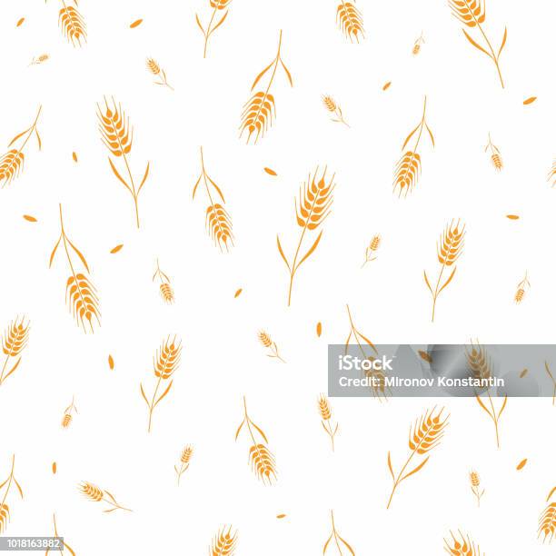 Seamless Pattern With Whole Grain Seeds Organic Natural Background Isolated On White Background Flat Style Design Vector Illustration Wheat Barley Or Rye Ears With Straw Chaotic Version Stock Illustration - Download Image Now
