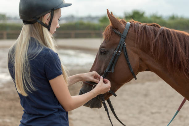 istock Rider saddles a horse 1018176660