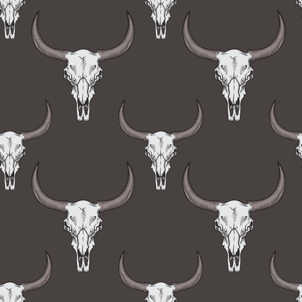 illustrazioni stock, clip art, cartoni animati e icone di tendenza di motivo vettoriale senza cuciture con teschio di toro. - horned death dead texas longhorn cattle