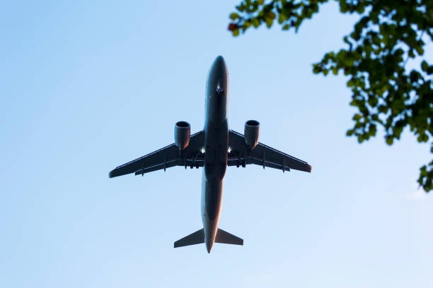 istock Silhouette of landing airplane - low-angle view 1018188100