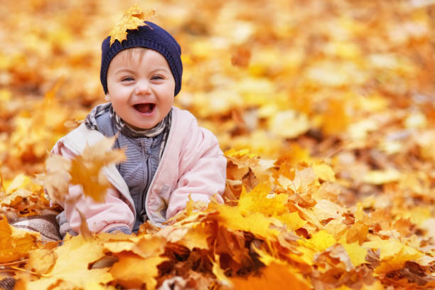 portrait of little baby girl in the autumn park stock photo