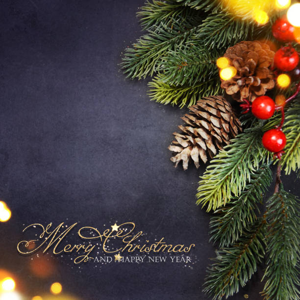 istock Christmas holiday background with fir branch 1018202964