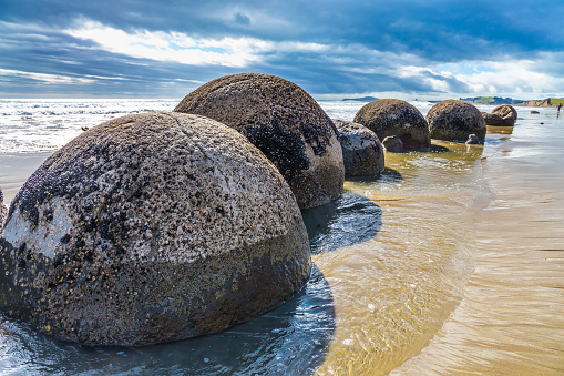 Boulders Moeraki - a group of spherical boulders on the beach Koekokhe. Ocean tide. Travel to New Zealand. The concept of active, eco and photo tourism
