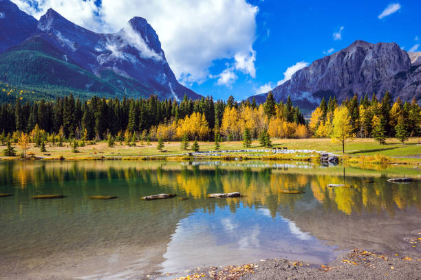 istock Three Sisters mountains in the  Rockies 1018206648