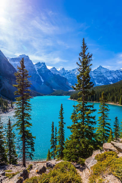 istock Lake Moraine in  Park Banff 1018206796