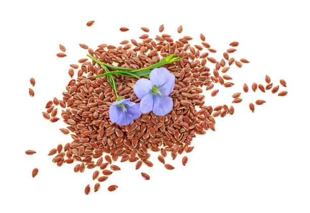 istock Flax seeds and flax flowers on a white background 1018210428