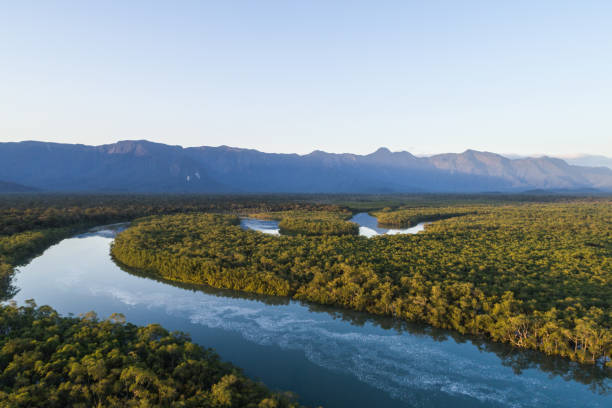 istock Mata Atlantica - Atlantic Forest in Brazil 1018211788