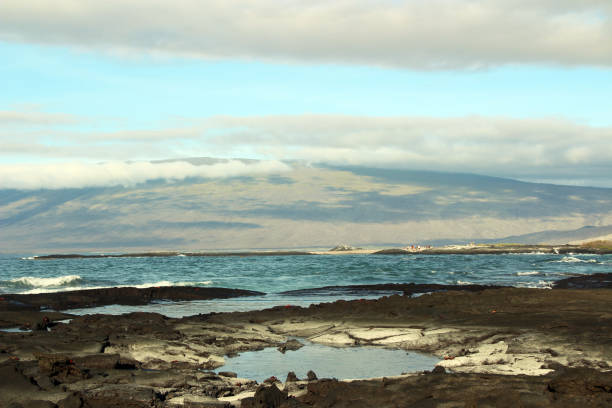 istock Fascinating coastal landscape in the Galapagos Islands 1018214886