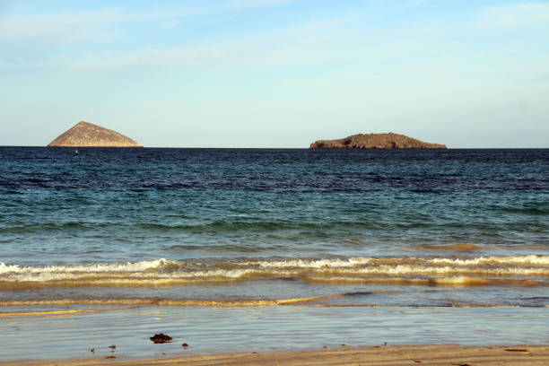istock Fascinating coastal landscape in the Galapagos Islands 1018215426