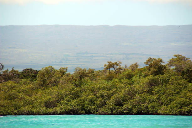 Fascinating coastal landscape in the Galapagos Islands