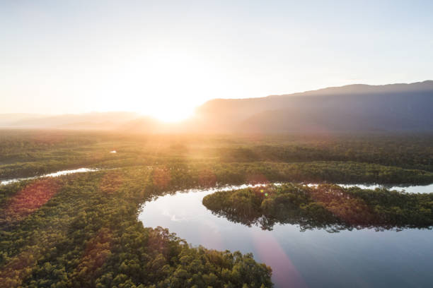istock Mata Atlantica - Atlantic Forest in Brazil 1018218312