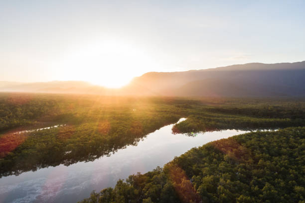istock Mata Atlantica - Atlantic Forest in Brazil 1018219340