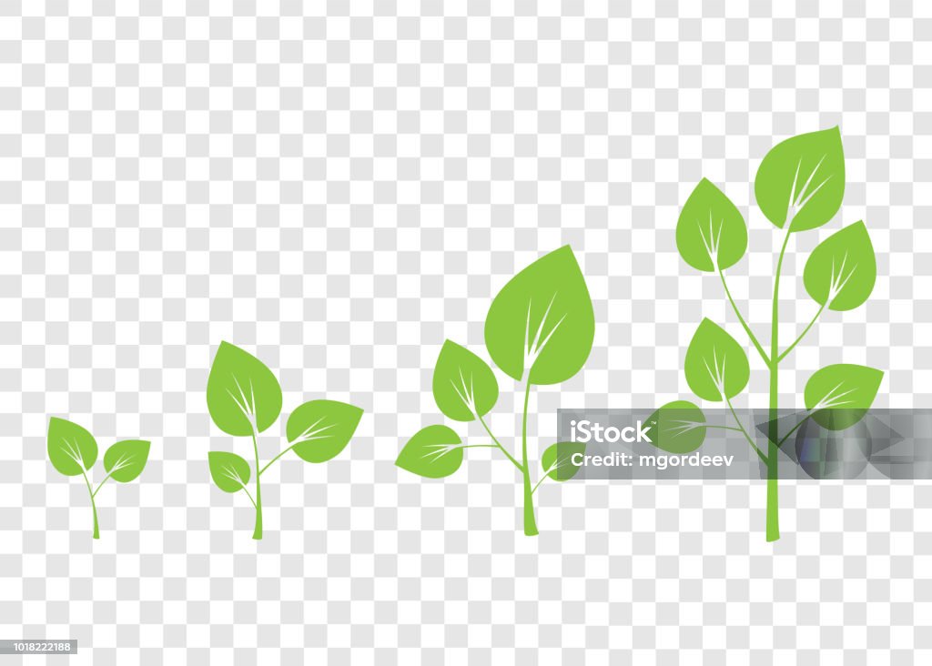 Growth Tree Graphik Tree Growth Diagram Green Tree Growth Background Stock Illustration ...
