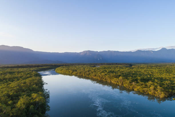 istock Mata Atlantica - Atlantic Forest in Brazil 1018222512