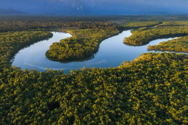 istock Mata Atlantica - Atlantic Forest in Brazil 1018222870