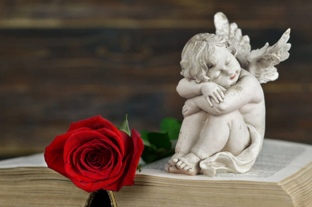 istock Little angel sleeping on the book 1018226280