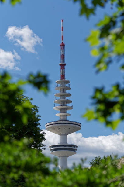 istock Hamburg's television tower against blue sky through green tree branches 1018237772