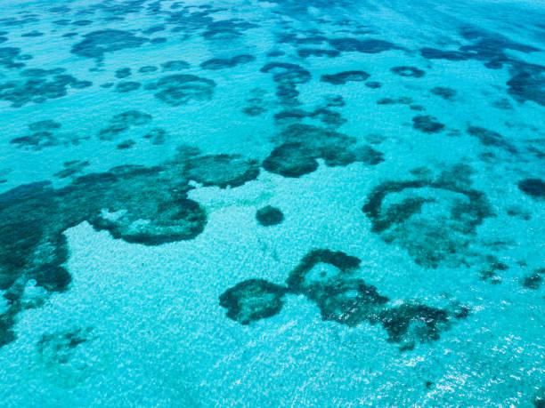 istock Isla Mujeres aerial view of reef 1018256190