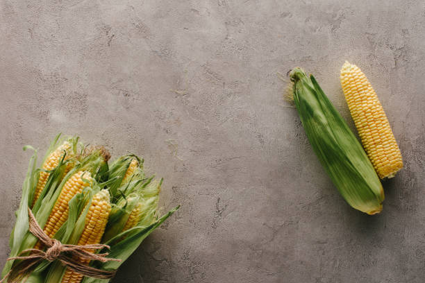 istock top view of fresh corn cobs tied with rope and one corn apart on grey concrete surface 1018259864