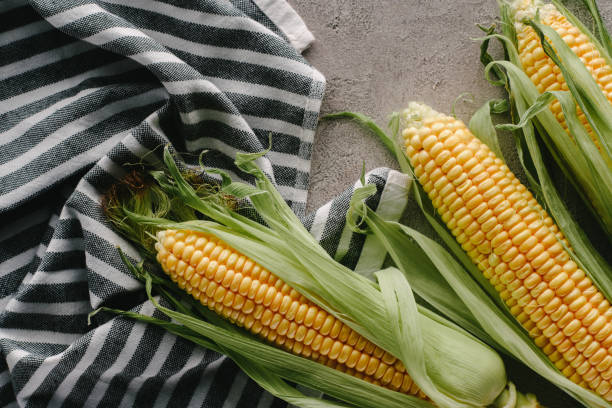 istock top view of fresh corn cobs on linen on concrete tabletop 1018259870