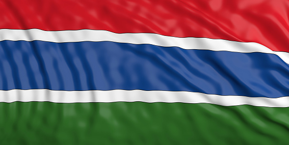 Waiving in the wind flag of Gambia. 3d illustration