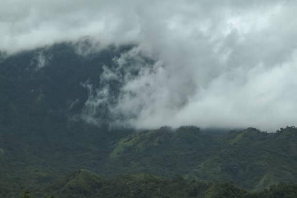 istock Misty mountains and beautiful trees. 1018266132