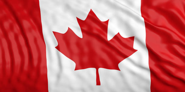 istock Waiving Canada flag. 3d illustration 1018266220